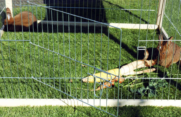 dobar Freilaufgehege